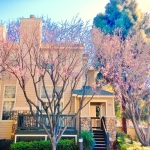 Beautiful Town House with High Walking Score